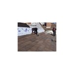 DaVinci Bellaforté Shake