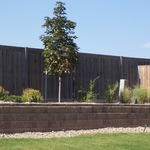 Fence Project