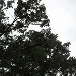Untitled Gallery 1