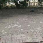Lawn Care Install