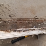Mold Remediation