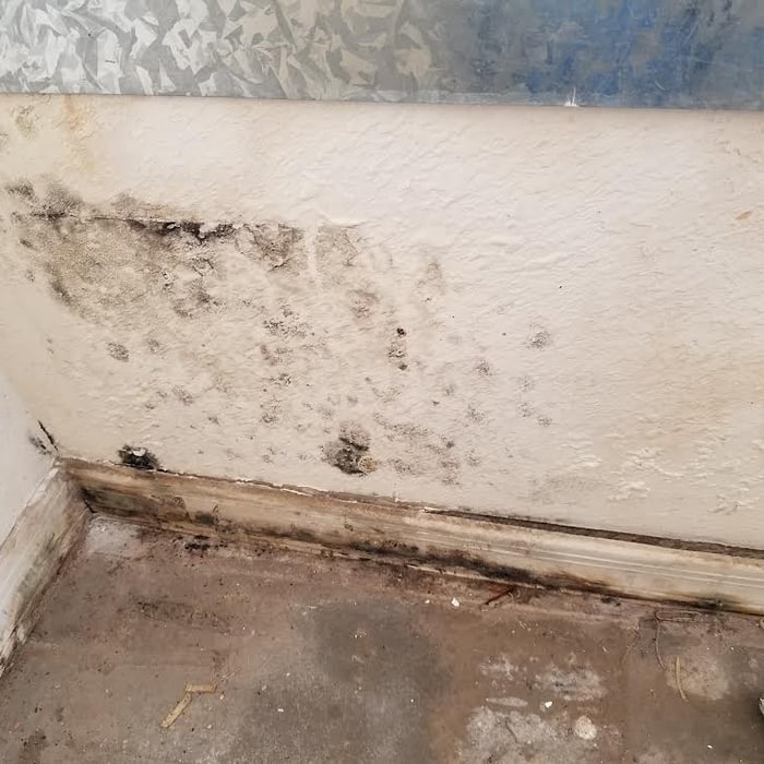Mold Remediation