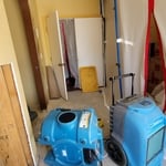 Mold Remediation