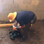 Rodent Control
