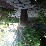 Fountain