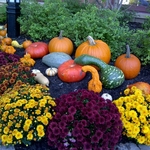 Fall Display