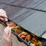 Gutter Cleaning