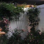 Patio landscape install