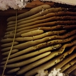Bee hive