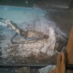 Pool Demolition