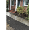 Toms new steps and walkway
