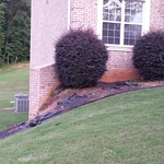 Landscape Renovation