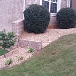 Landscape Renovation