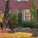 Landscape renovation