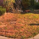Landscape renovation