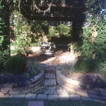 After removal