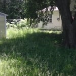 Before backyard.