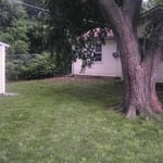 After Backyard.