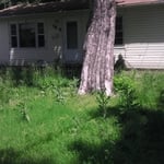 Before Front yard.