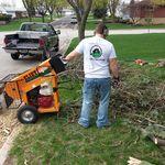 Tree removal