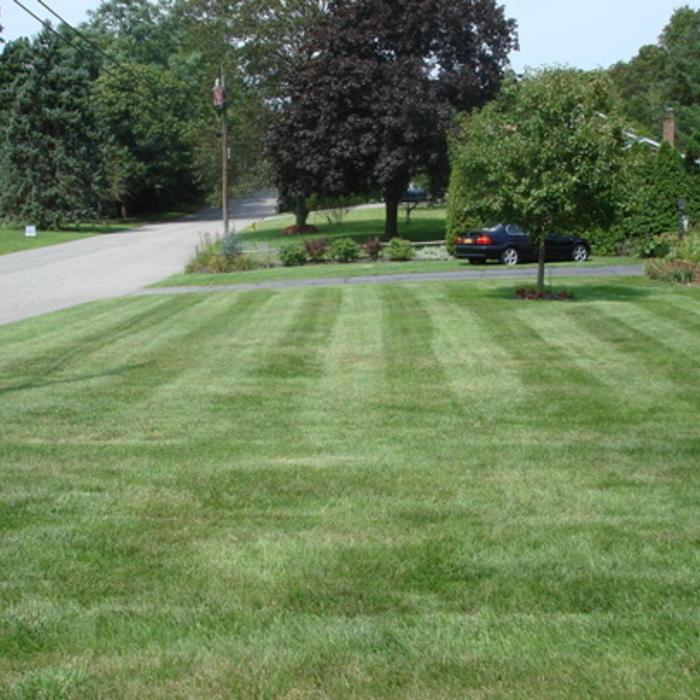Callahan Lawn Care & Landscaping Service