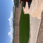 Backyard Turf