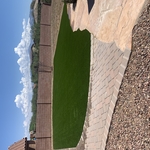 Backyard Turf