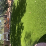 Backyard Turf