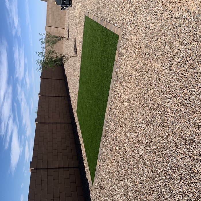 Backyard Turf