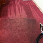 Carpet Cleaning