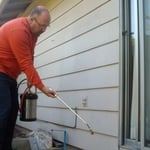 Protecting the home from other pests