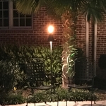 Tiki Torch Combo Light
