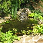 Small Pond and Waterfall