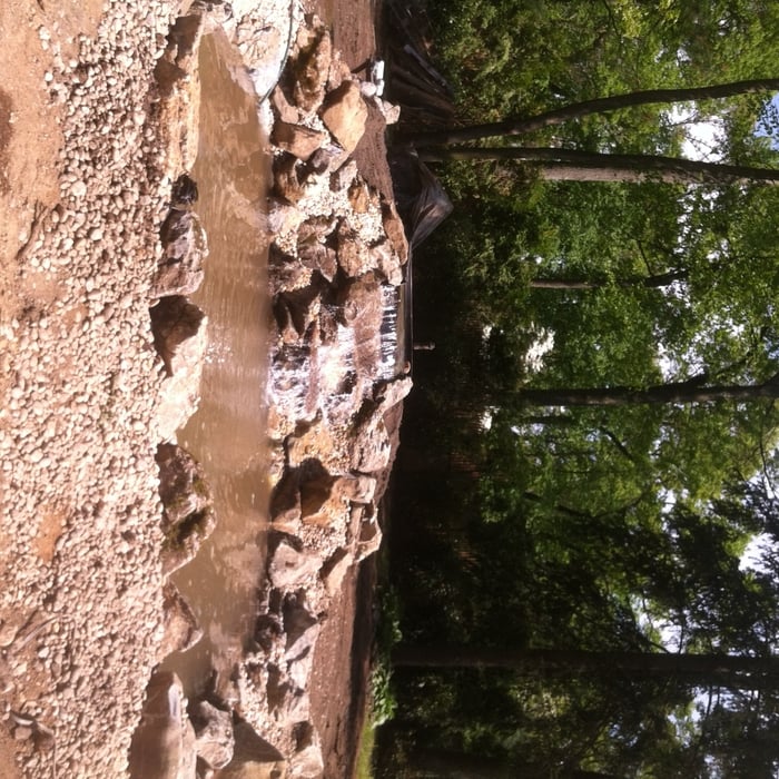 Before Plantings