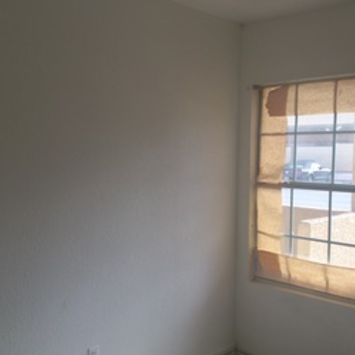 Painting unit