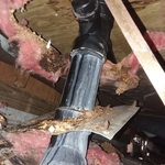 Old Drain Lines