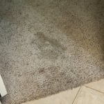 Toilet overflow