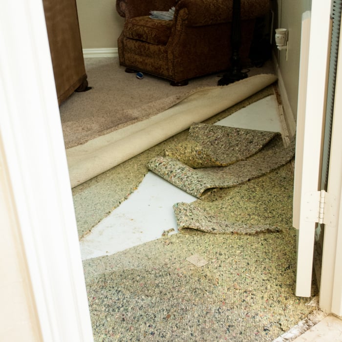 Toilet Overflow