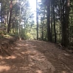 Land clearing