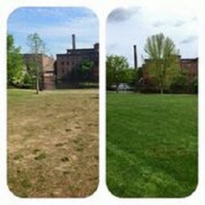 Henry Law Park