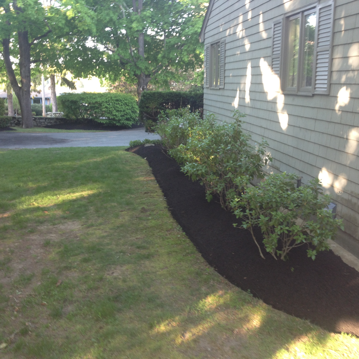 Lawn And Garden Maintenance