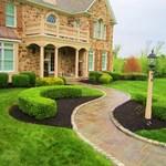 Pruning and Mulching