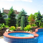 Planting and Mulching