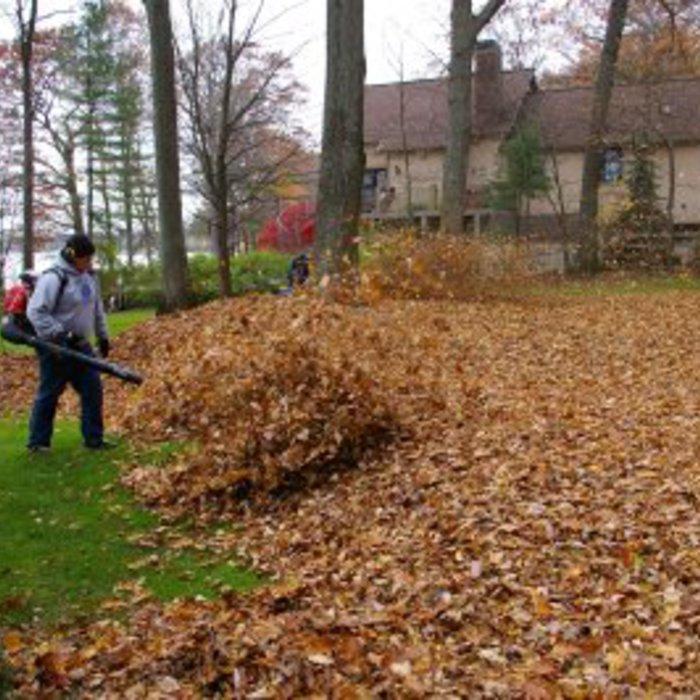 Leaf removal