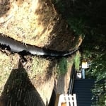 Other Picture