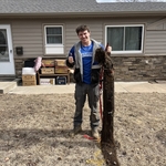 Huge Sewer Root