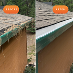 2.0 PRO® | Pine Tree