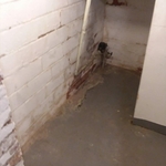 Interior Repair