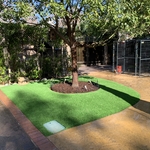 Artificial Turf