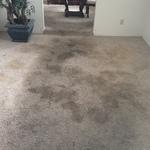 Before-Carpet Cleaning